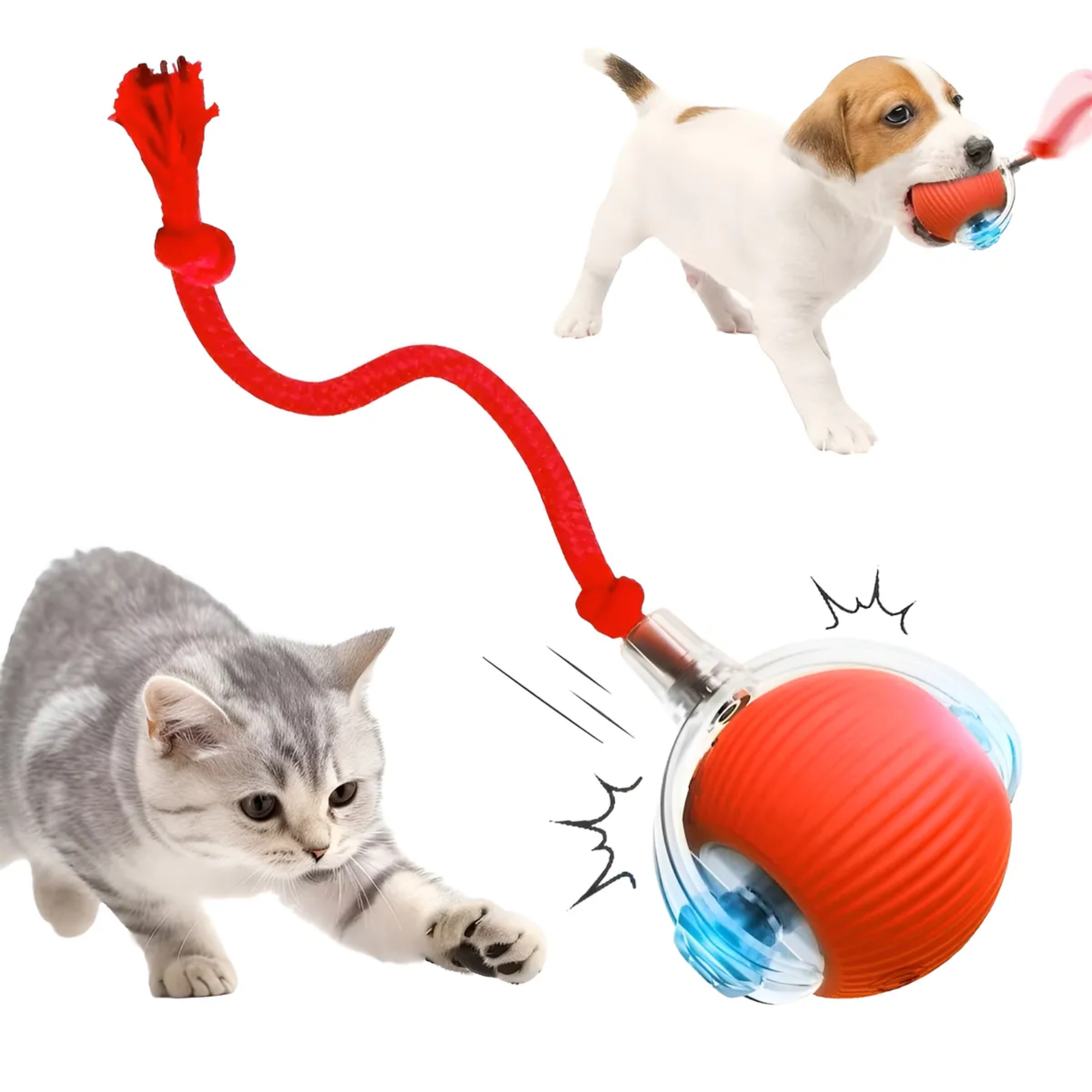 Juguete interactivo para gatos y perros